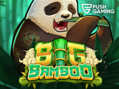 Casino bingo online19